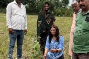 plantation_samch (6)
